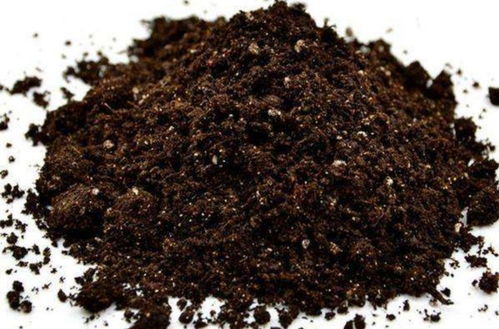 在家制作營養(yǎng)土,加上3種 廢棄物 ,松軟透氣 營養(yǎng)成分多