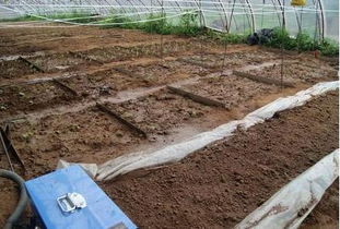 土肥檢測中心在漢成立 萬億土壤治理改良市場可期