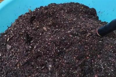 營養土如何配制,分為腐葉營養土、煤渣營養土等