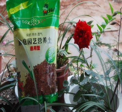 花土營養土花卉盆栽盆景 陽臺屋頂家庭園藝 內含花肥 6升裝