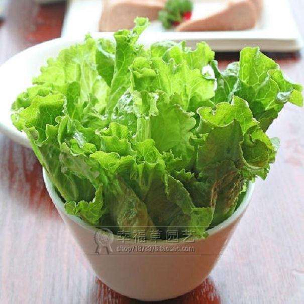 蔬菜盆栽器具和營養土準備