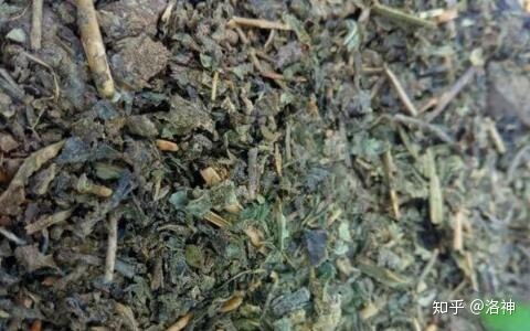 自制6種營養土的簡單方法,效果很好,連肥料錢都省了