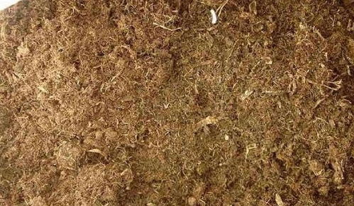 教你搭配養分高的營養土,幾種土壤搭配在一起,養花超級好用