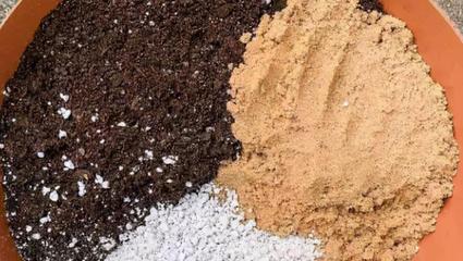 養(yǎng)花其實不用買土，這么配置萬能營養(yǎng)土，有營養(yǎng)又透氣