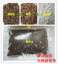 泥炭土、珍珠巖與蛭石 打造理想營養(yǎng)土的全方位指南