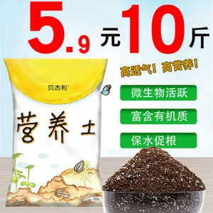 多肉植物專用營(yíng)養(yǎng)土的選擇與施用指南