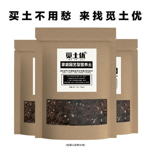 花盆底部墊料選擇指南 科學(xué)搭配營(yíng)養(yǎng)土，助力植物健康生長(zhǎng)