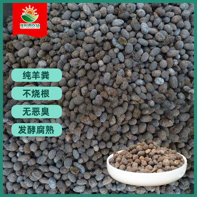 及時(shí)雨發(fā)酵羊糞蛋純雞糞蘭花腐殖土——營(yíng)養(yǎng)土優(yōu)選與好評(píng)好店推薦