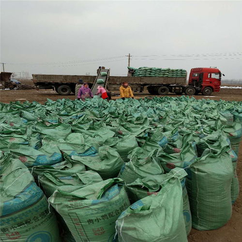 安徽池州雞糞干生產(chǎn)廠家專業(yè)供應(yīng)優(yōu)質(zhì)營(yíng)養(yǎng)土，歡迎垂詢