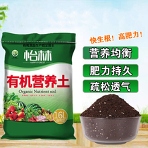 肥料營(yíng)養(yǎng)土 提升土壤肥力與促進(jìn)植物生長(zhǎng)的關(guān)鍵