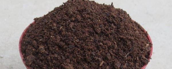 家庭育苗營(yíng)養(yǎng)土的科學(xué)配比與制作方法