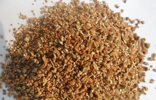 自制營養土，打造理想家園 三種材料輕松調配專屬配方