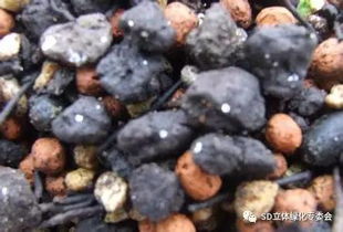 最全的花卉營養(yǎng)土基質(zhì)材料及功效作用指南，園藝愛好者必收藏