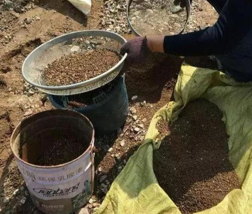 自制營養(yǎng)土 養(yǎng)花不花錢，添上這幾樣，比買的還好！