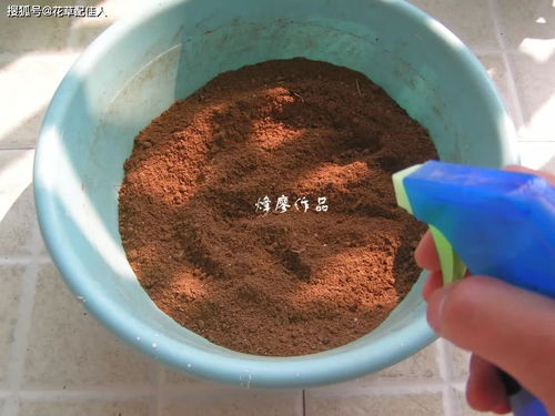 竹林深處藏寶土 天然腐殖土，養(yǎng)花勝買土